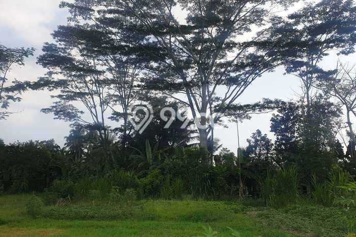 Tanah Dijual di Gianyar Seluas 3252m2 Strategis Tanah Dijual di Gianyar Seluas 3252m2 Strategis
