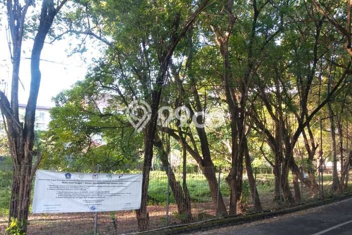 Lahan Investasi Lokasi Kedonganan Badung SHM Lahan Investasi Lokasi Kedonganan Badung SHM