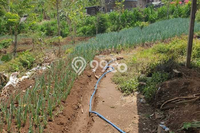 Tanah Dijual Lokasi Strategis di Buleleng dengan Luas 13000m2 Tanah Dijual Lokasi Strategis di Buleleng dengan Luas 13000m2