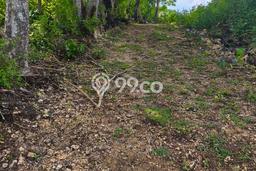 Dijual Tanah Lokasi Nusa Dua, Badung Seluas 4480m2 Dijual Tanah Lokasi Nusa Dua, Badung Seluas 4480m2