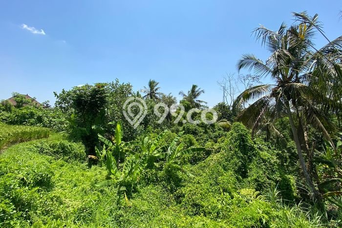 Tanah Dijual di Gianyar Seluas 15800m2 Strategis Tanah Dijual di Gianyar Seluas 15800m2 Strategis