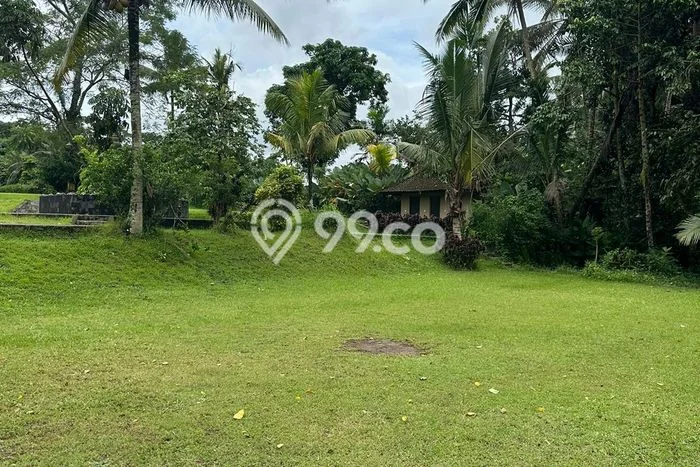 Dijual Tanah Lokasi Carangsari, Badung Seluas 11700m2 Dijual Tanah Lokasi Carangsari, Badung Seluas 11700m2