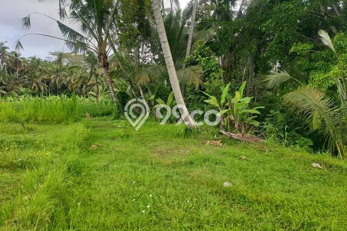 Untuk Dijual Tanah di Gianyar, Luas 3276m2 SHM Untuk Dijual Tanah di Gianyar, Luas 3276m2 SHM