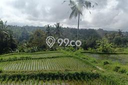 Untuk Dijual Tanah di Gianyar, Luas 45000m2 SHM Untuk Dijual Tanah di Gianyar, Luas 45000m2 SHM