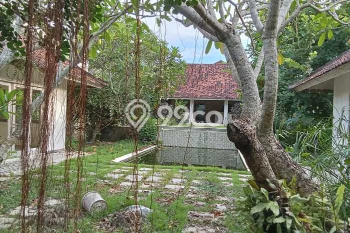 Tanah Kavling Dijual di Badung dengan Spesifikasi 1150m2 Tanah Kavling Dijual di Badung dengan Spesifikasi 1150m2