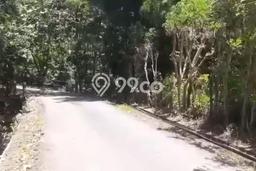 Tanah Dijual di Badung Seluas 2500m2 Strategis Tanah Dijual di Badung Seluas 2500m2 Strategis