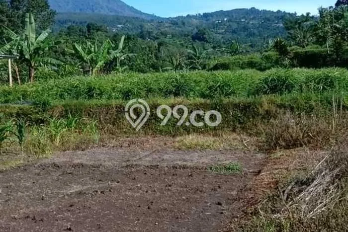 Tanah di Baturiti, Tabanan Luas 40000m2 Dijual Segera Tanah di Baturiti, Tabanan Luas 40000m2 Dijual Segera