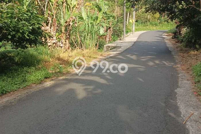 Dijual Tanah di Buleleng, Luas 25000m2 SHM Dijual Tanah di Buleleng, Luas 25000m2 SHM