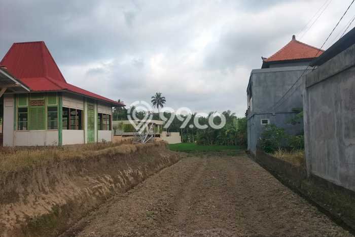 Untuk Dijual Tanah di Gianyar, Luas 3383m2 SHM Untuk Dijual Tanah di Gianyar, Luas 3383m2 SHM