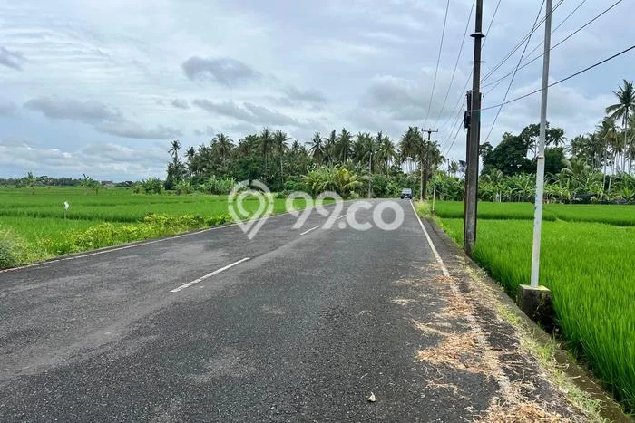 Tanah Kavling Dijual di Belalang, Tabanan dengan Luas Tanah 1130m2 Tanah Kavling Dijual di Belalang, Tabanan dengan Luas Tanah 1130m2
