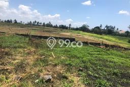 POTENSIAL! Tanah di , Luas 600m2m², Area Berkembang POTENSIAL! Tanah di , Luas 600m2m², Area Berkembang