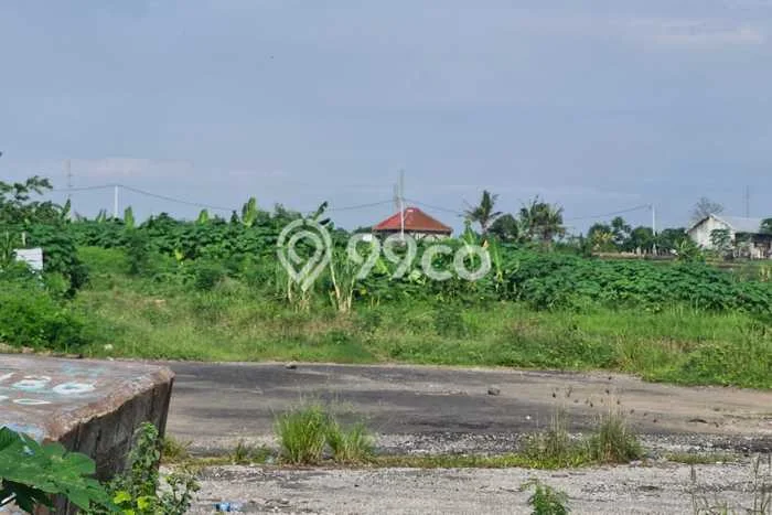 Kavling Tanah untuk Dijual di Ketewel, Gianyar, Luas 3500m2 Kavling Tanah untuk Dijual di Ketewel, Gianyar, Luas 3500m2