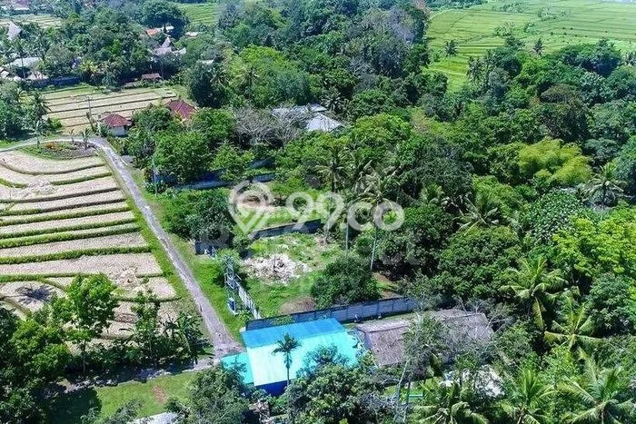 Dijual Tanah Lokasi Beraban, Tabanan Seluas 1750m2 Dijual Tanah Lokasi Beraban, Tabanan Seluas 1750m2