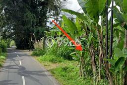 Jarang Ada! Tanah di Payangan Punya Luas 2600m2 SHM Jarang Ada! Tanah di Payangan Punya Luas 2600m2 SHM