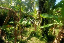Lahan Strategis di Denpasar Utara Dijual dengan Luas 8400m2 Lahan Strategis di Denpasar Utara Dijual dengan Luas 8400m2