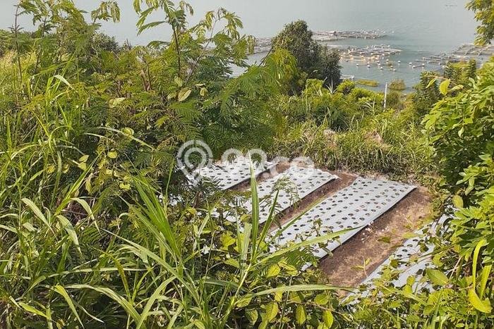 Hunian Mewah Siap Huni LT 2000m2 di Kintamani, Bangli Hunian Mewah Siap Huni LT 2000m2 di Kintamani, Bangli