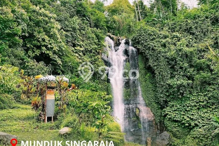 Tanah Kavling Dijual di Munduk, Buleleng dengan Luas Tanah 16980m2 Tanah Kavling Dijual di Munduk, Buleleng dengan Luas Tanah 16980m2