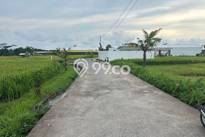 Dijual Tanah di Tabanan, Luas 2250m2 SHM Dijual Tanah di Tabanan, Luas 2250m2 SHM