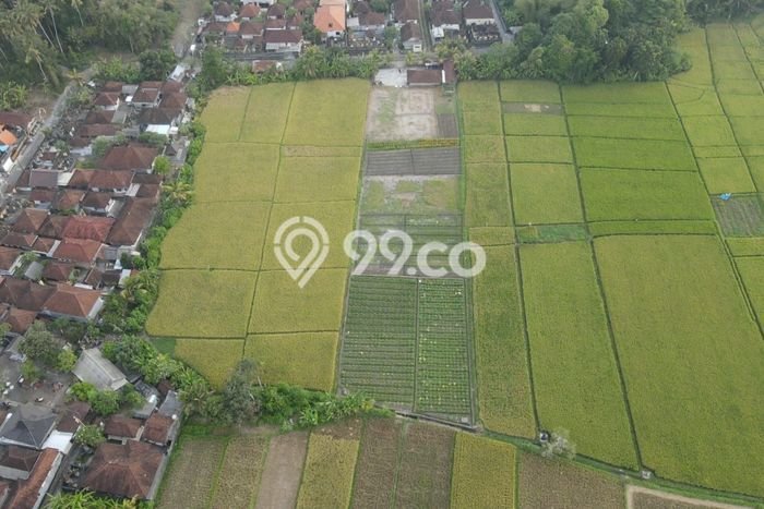 Tanah Dijual Area Strategis di Kelating Tabanan 3450m2 Tanah Dijual Area Strategis di Kelating Tabanan 3450m2