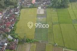 Tanah Dijual Area Strategis di Kelating Tabanan 3450m2 Tanah Dijual Area Strategis di Kelating Tabanan 3450m2