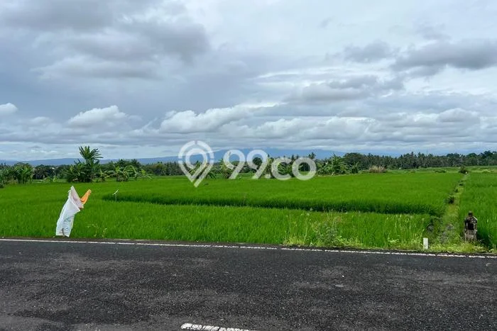 Tanah Kavling Dijual di Belalang, Tabanan dengan Luas Tanah 1130m2 Tanah Kavling Dijual di Belalang, Tabanan dengan Luas Tanah 1130m2