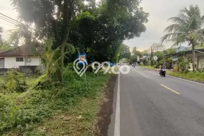 Lahan Investasi Lokasi Gerokgak Buleleng SHM Lahan Investasi Lokasi Gerokgak Buleleng SHM