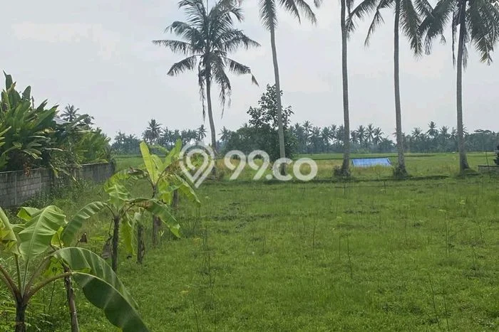 Dijual Tanah 2000m2 di Kemenuh, Gianyar Dijual Tanah 2000m2 di Kemenuh, Gianyar
