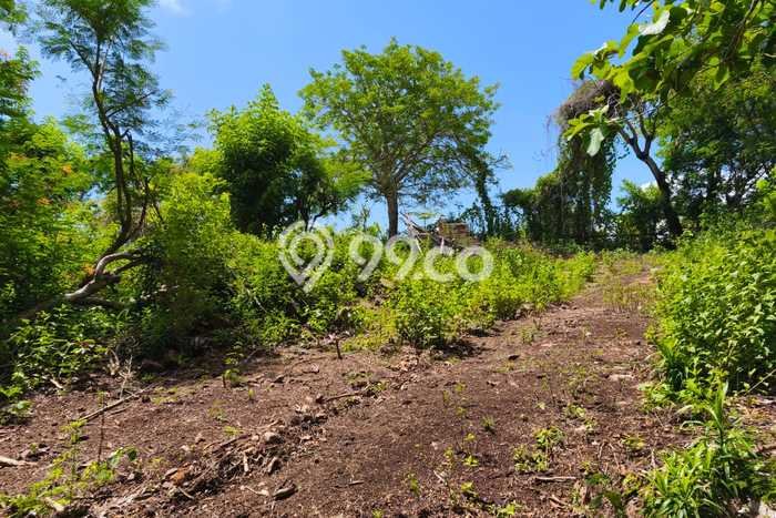 Dijual Tanah 240m2 di Kutuh, Badung Dijual Tanah 240m2 di Kutuh, Badung