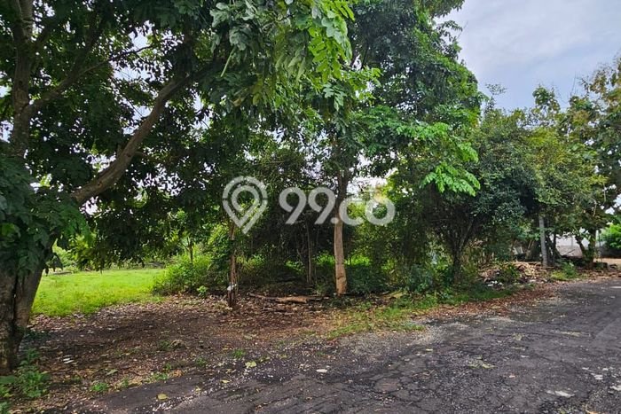 Tanah Kavling Dijual di Kutuh, Badung dengan Luas Tanah 1500m2 Tanah Kavling Dijual di Kutuh, Badung dengan Luas Tanah 1500m2