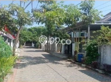 For Sale Rumah 2 Kamar Lokasi Strategis Bagus dan Strategis di Cileungsi For Sale Rumah 2 Kamar Lokasi Strategis Bagus dan Strategis di Cileungsi