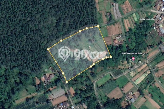 Tanah Kavling di Baturiti Dijual dengan Luas 12760m2 Tanah Kavling di Baturiti Dijual dengan Luas 12760m2