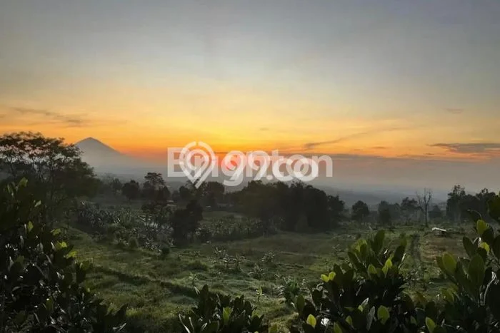 Tanah Kavling di Baturiti Dijual dengan Luas 12760m2 Tanah Kavling di Baturiti Dijual dengan Luas 12760m2