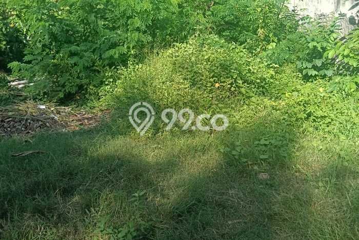 Tanah Siap Bangun Dijual di Badung Punya Luas 150m2 Tanah Siap Bangun Dijual di Badung Punya Luas 150m2