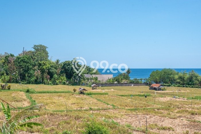 Dijual Tanah 1900m2 di Singaraja, Buleleng Dijual Tanah 1900m2 di Singaraja, Buleleng