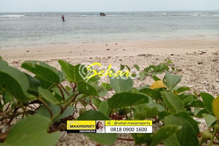 Tanah Kawasan Carita, Luas 460000m², Area Strategis, Lingkungan Asri, Kontur Datar Tanah Kawasan Carita, Luas 460000m², Area Strategis, Lingkungan Asri, Kontur Datar