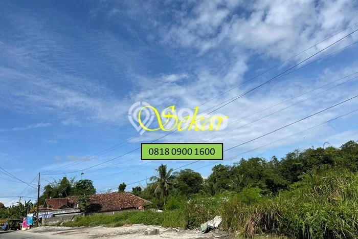 Lahan Kosong Dijual di Maja, Lebak, Luas 5000m2 Area Strategis Lahan Kosong Dijual di Maja, Lebak, Luas 5000m2 Area Strategis