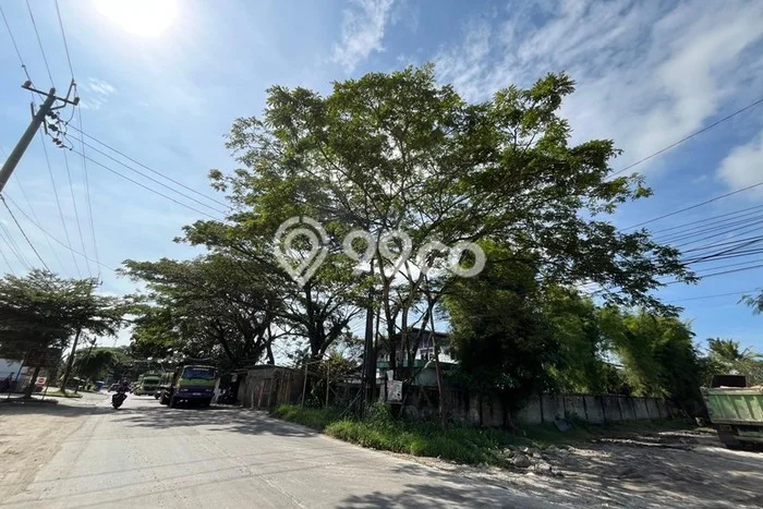 Untuk Dijual Tanah di Maja Lebak Luas 1580m2 SHM Untuk Dijual Tanah di Maja Lebak Luas 1580m2 SHM
