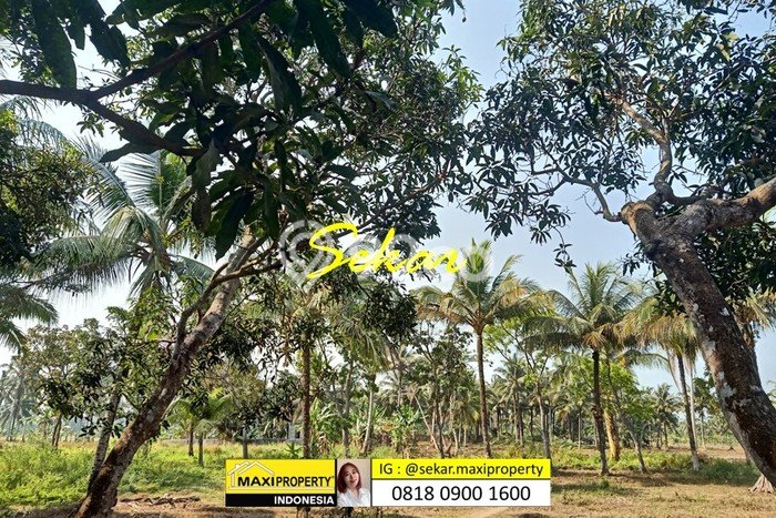 Jarang Ada! Tanah di Carita Punya Luas 180000m2 SHM Jarang Ada! Tanah di Carita Punya Luas 180000m2 SHM