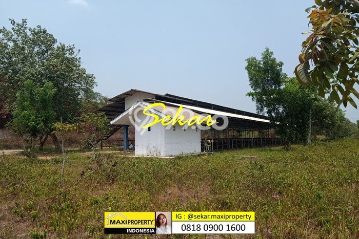 Lahan Strategis di Labuan Dijual dengan Luas 500000m2 Lahan Strategis di Labuan Dijual dengan Luas 500000m2