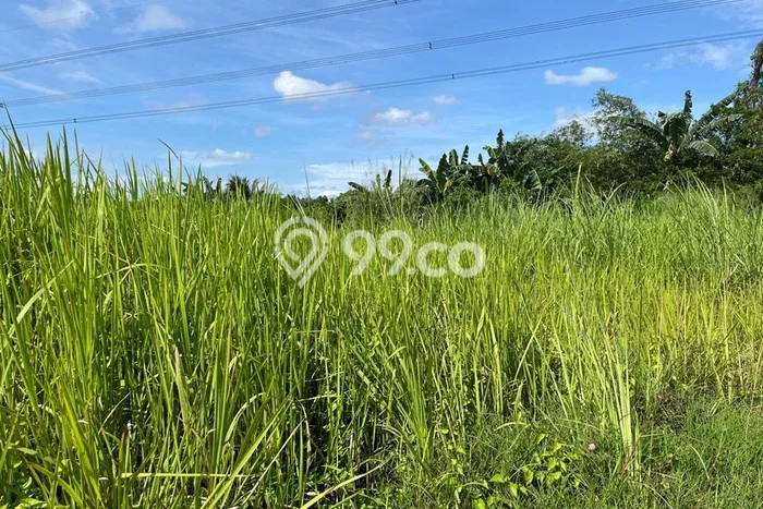 Dijual Tanah di Maja Lebak Luas 3400m2 SHM Dijual Tanah di Maja Lebak Luas 3400m2 SHM
