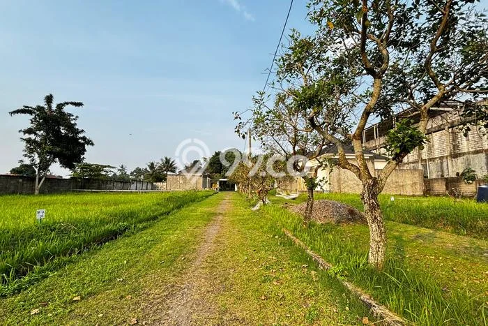 Tanah Dijual Lokasi Ranca Bungur, Bogor Luas 7975m2 Legalitas Aman Tanah Dijual Lokasi Ranca Bungur, Bogor Luas 7975m2 Legalitas Aman