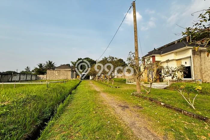 Tanah Dijual Lokasi Ranca Bungur, Bogor Luas 7975m2 Legalitas Aman Tanah Dijual Lokasi Ranca Bungur, Bogor Luas 7975m2 Legalitas Aman