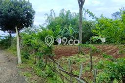 Lahan Investasi Lokasi Cimanggung Sumedang SHM Lahan Investasi Lokasi Cimanggung Sumedang SHM