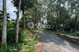 Tanah Kawasan Sleman, Luas 241m2m², Akses Sleman, Sleman, Sleman Tanah Kawasan Sleman, Luas 241m2m², Akses Sleman, Sleman, Sleman