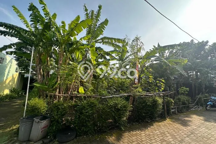 Jarang Ada! Tanah di Sleman Punya Luas 506m2 SHM Jarang Ada! Tanah di Sleman Punya Luas 506m2 SHM