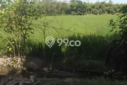 Tanah Area Strategis di Sleman, Luas 1371m2m², Ideal untuk Usaha Tanah Area Strategis di Sleman, Luas 1371m2m², Ideal untuk Usaha