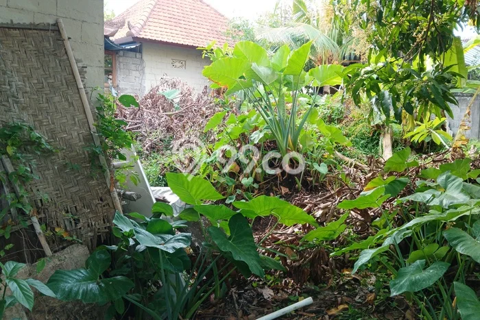 Tanah Disewa di Pererenan Strategis dan Memiliki Luas 450m2 Tanah Disewa di Pererenan Strategis dan Memiliki Luas 450m2