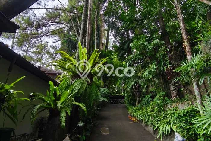 Disewakan Rumah Murah di ciumbuleuit Bandung Punya 3 KT Disewakan Rumah Murah di ciumbuleuit Bandung Punya 3 KT