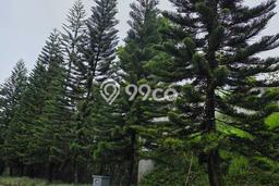 Kavling Tanah untuk Dijual di Pondok Hijau, Bandung, Luas 639m2 Kavling Tanah untuk Dijual di Pondok Hijau, Bandung, Luas 639m2