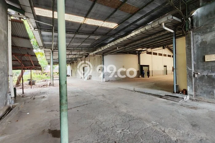Area Strategis! Disewakan Gudang Lokasi Grogol, Solo Cocok untuk Bisnis Area Strategis! Disewakan Gudang Lokasi Grogol, Solo Cocok untuk Bisnis